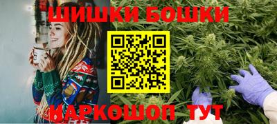 молекула духа Будённовск