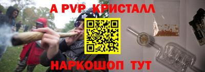 молекула духа Будённовск