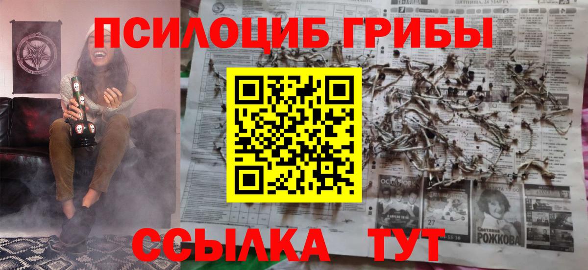 Галлюциногенные грибы прущие грибы  Псилоцибиновые грибы Cubensis  Нерюнгри  Вход с VPN 