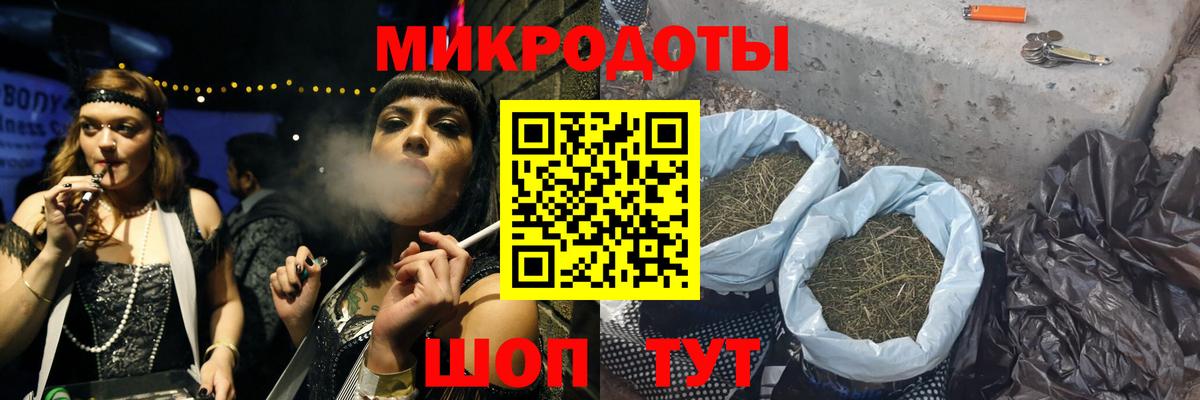 Галлюциногенные грибы Psilocybine cubensis Нерюнгри
